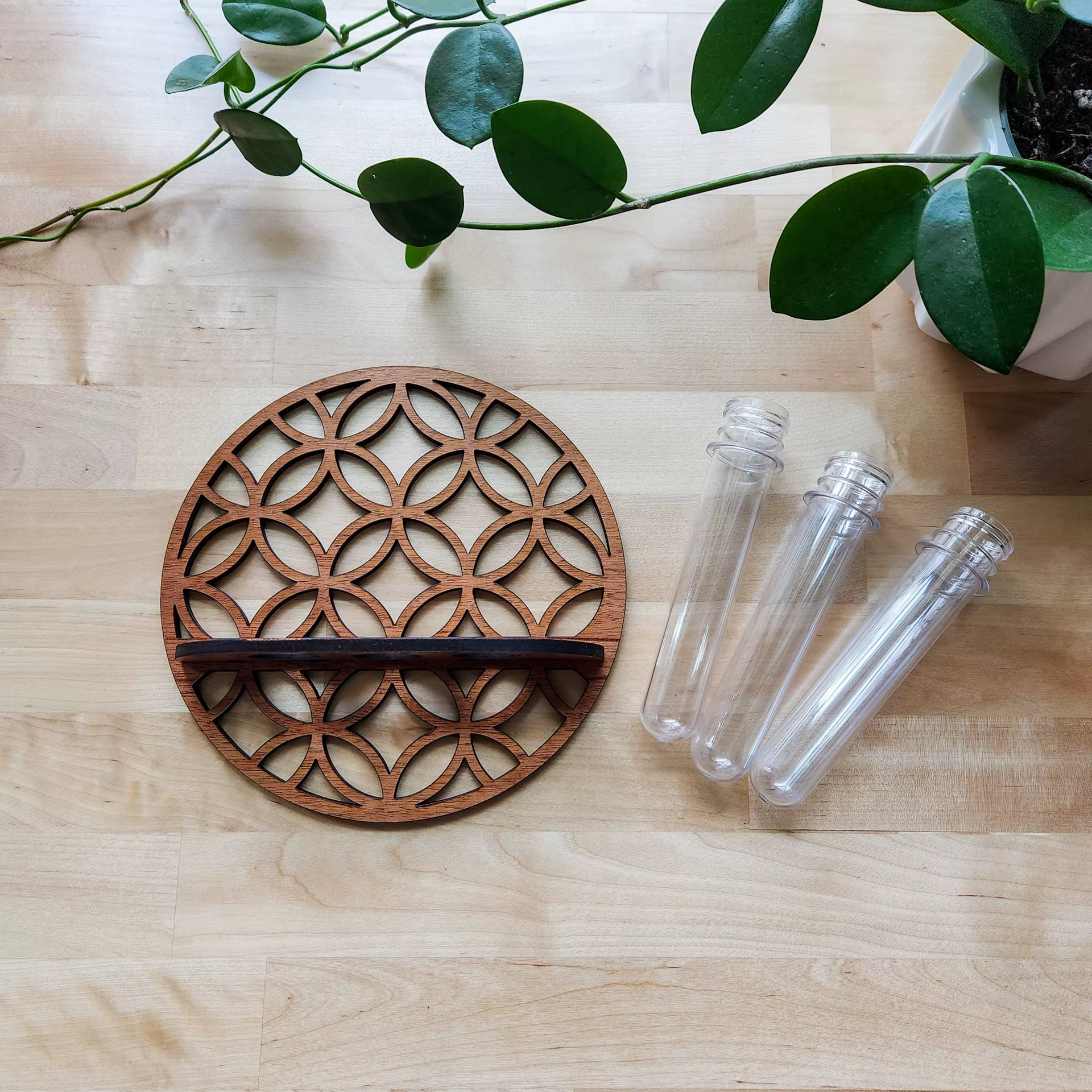Station de Propagation des plantes