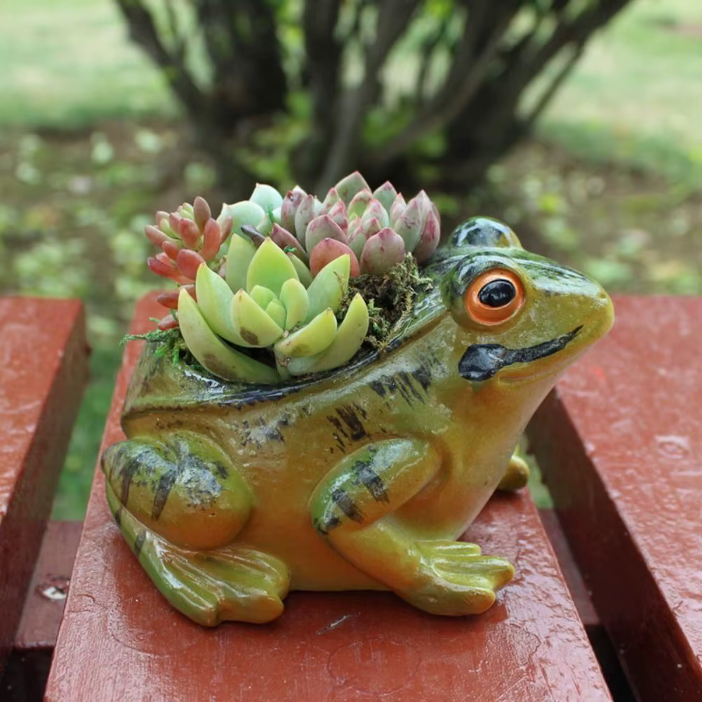 Pots de plantes succulentes grenouille en résine créative