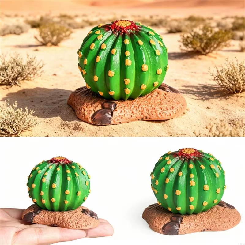 Modèle Cactus du désert