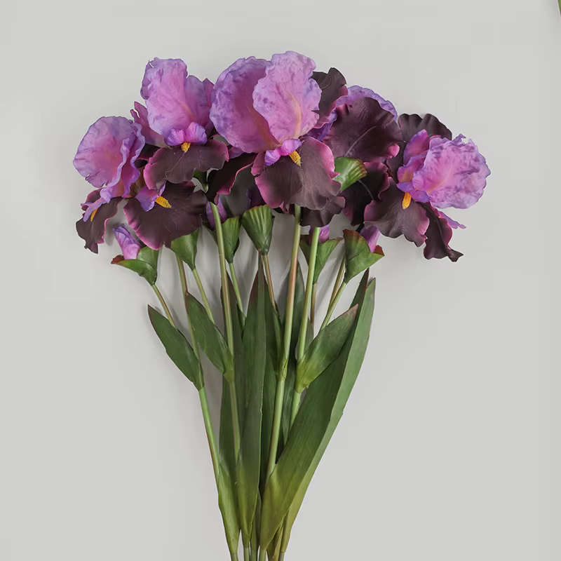 Fleurs injirlandaises Alice Iris