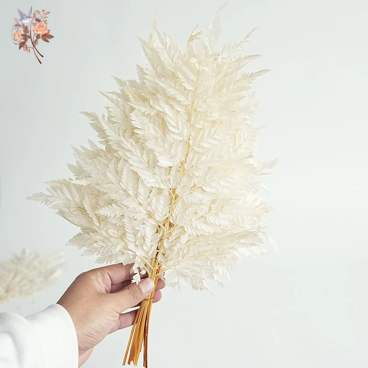 Feuilles de fougère naturelles