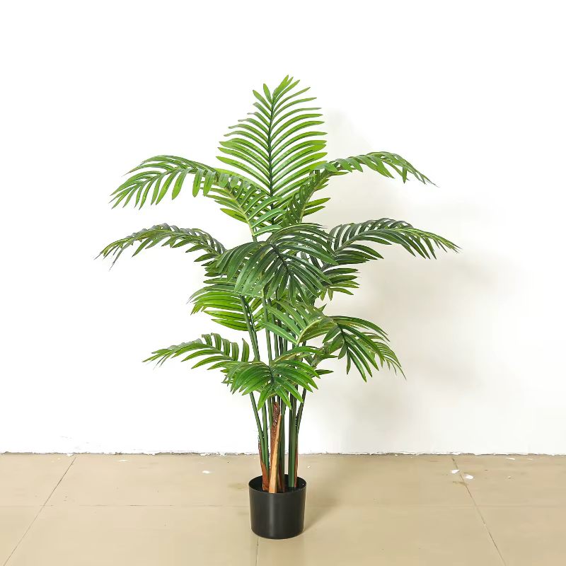Simulation plante verte Areca
