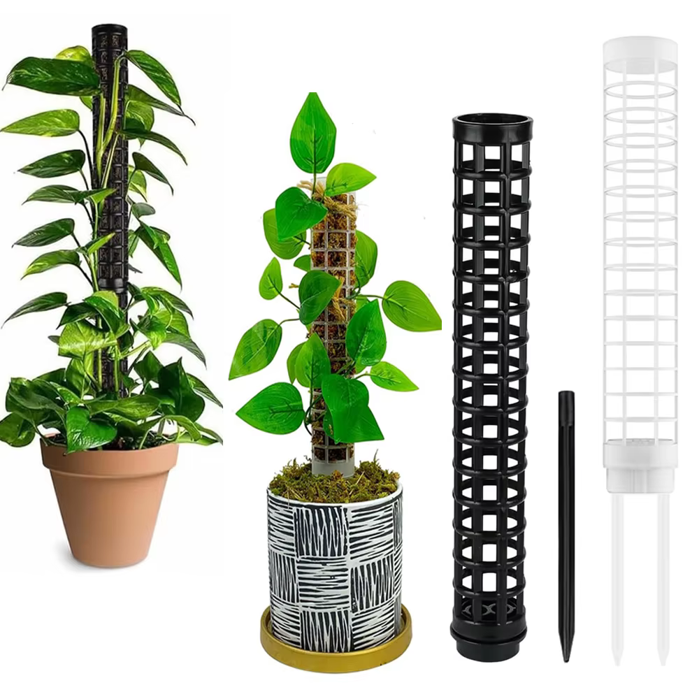 Poteau de mousse pour plantes grimpantes Monstera