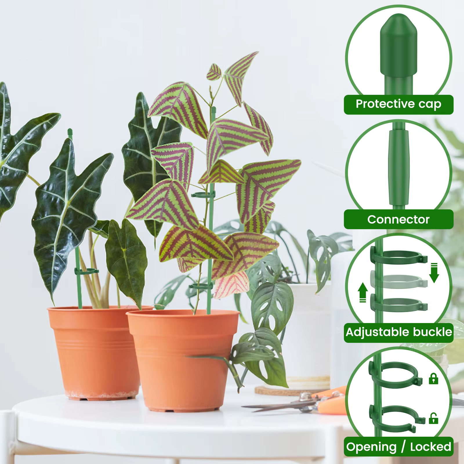 Piquets de Support pour plantes