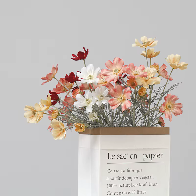 Branche de cosmos de chrysanthème pastoral