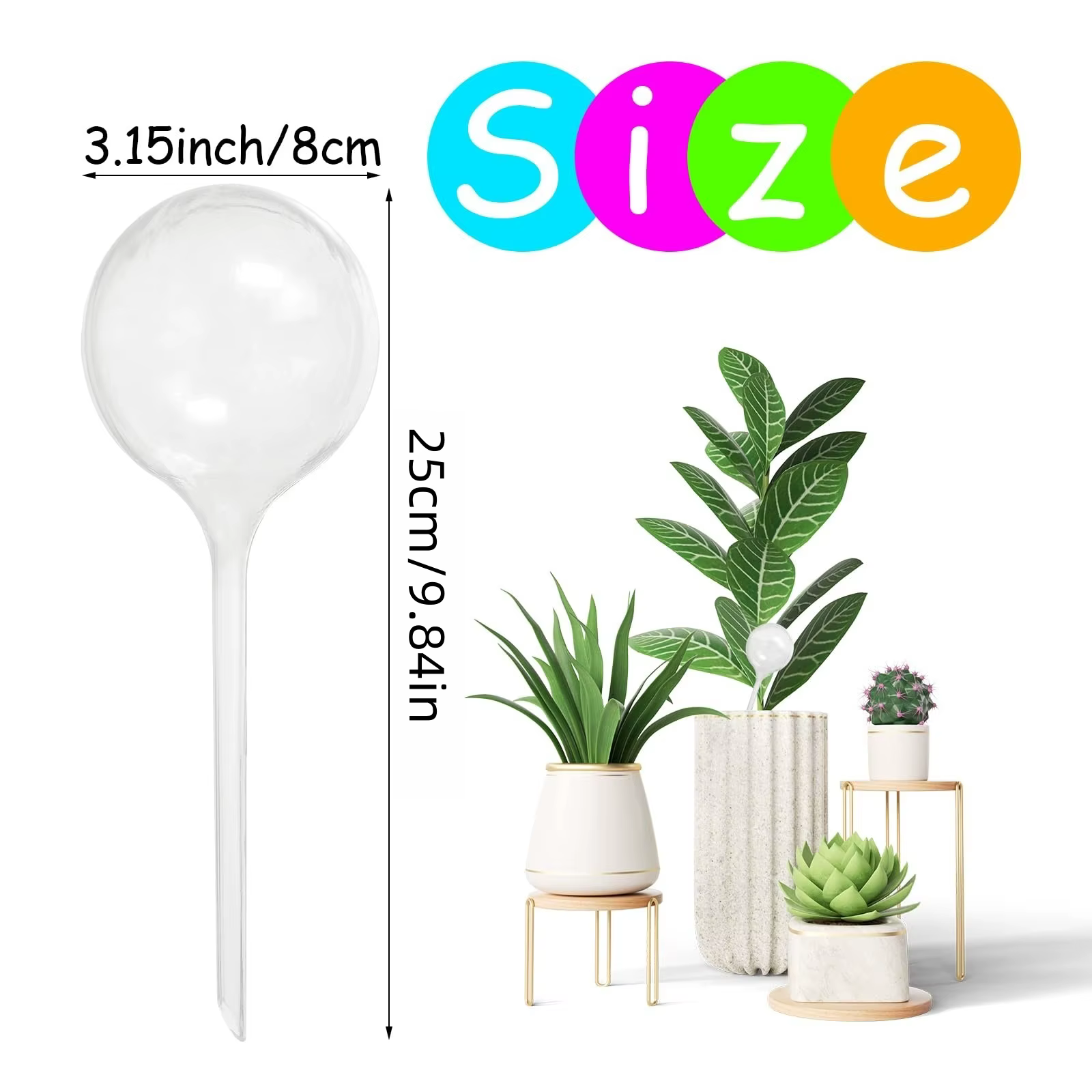 1 paquet de globe d'arrosage transparent pour plantes