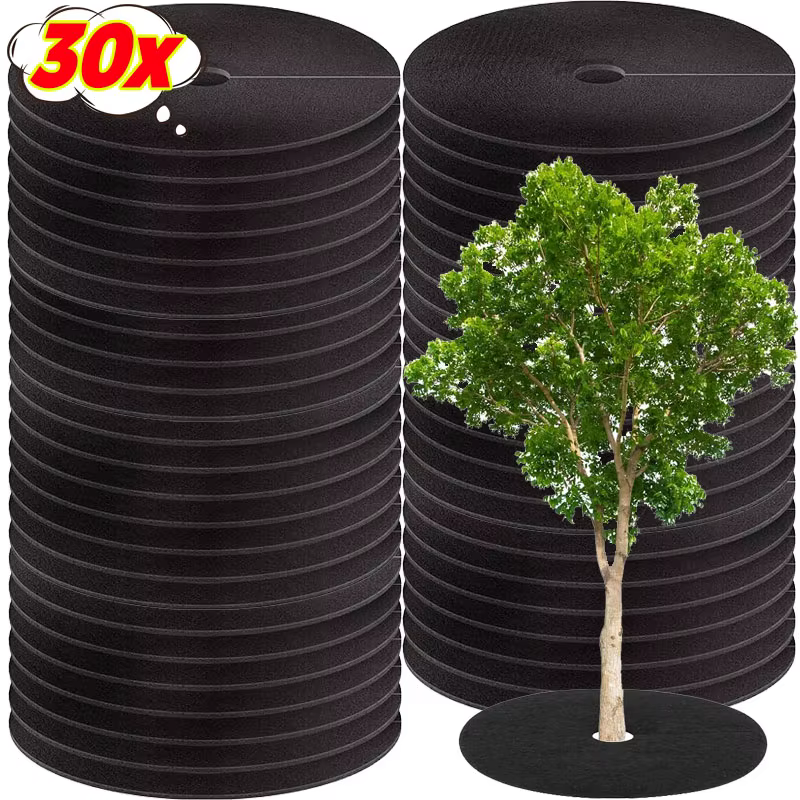 Anneaux de pain d'arbre ronds Anti-herbe