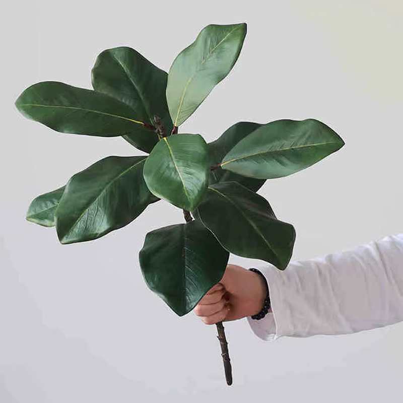 Plantes vertes de Simulation