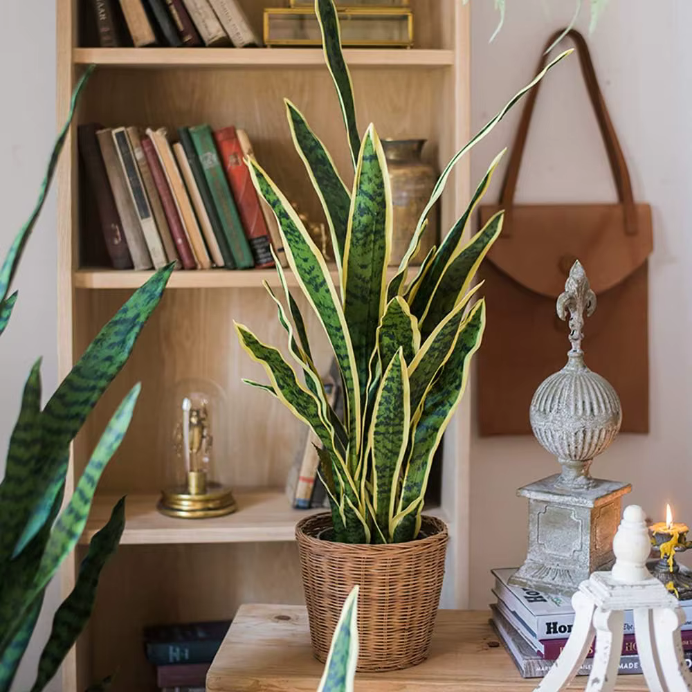 Plante serpent artificielle