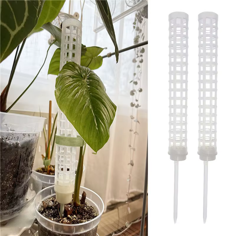 Cadre d'escalade pour plantes d'intérieur