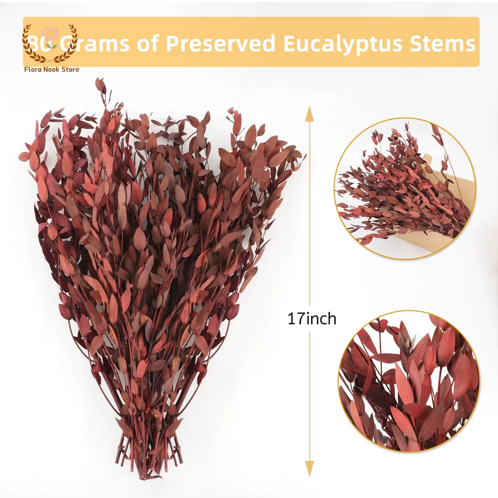 Bouquet de feuilles d'eucalyptus rouge véritable