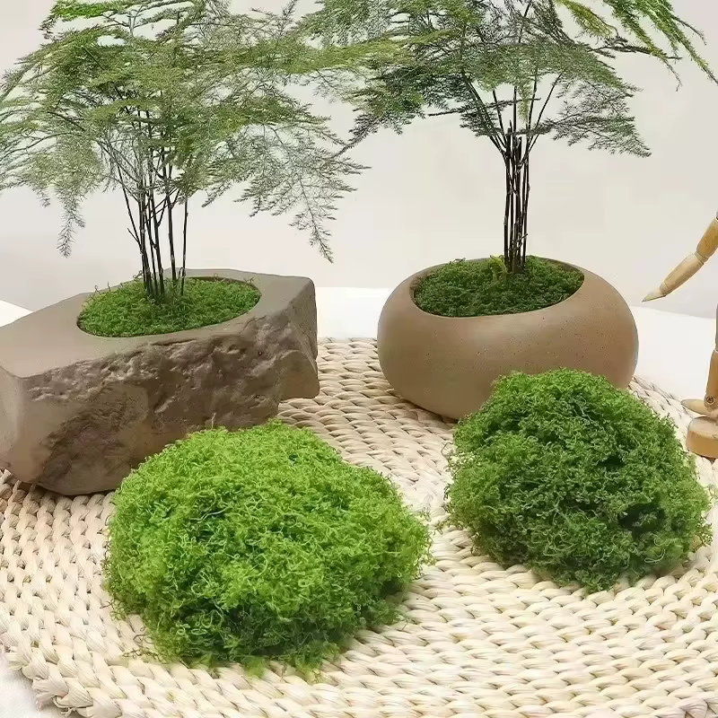Plantes vertes artificielles
