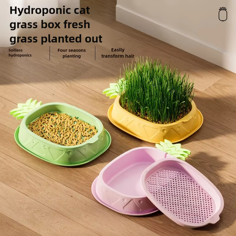 Jardinière hydroponique d'herbe pour chat