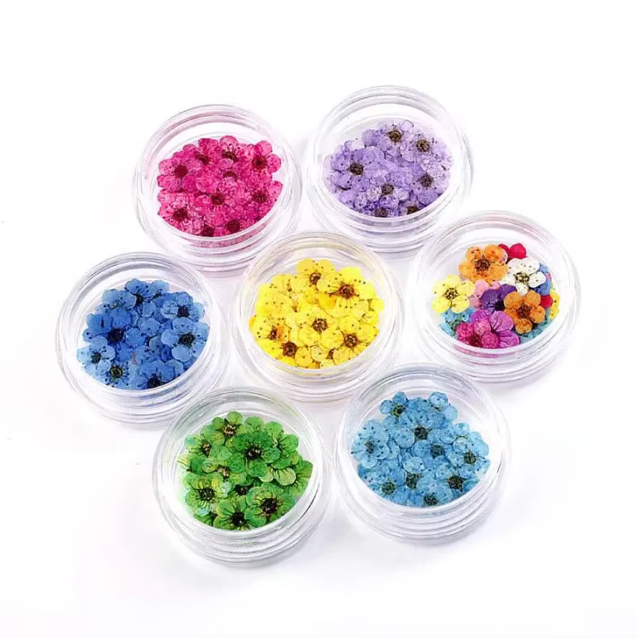 250 pièces Mini pressé séché Narcisse Jonquilla fleur plante herbier pour résine époxy bijoux signet carte postale Nailart bricolage