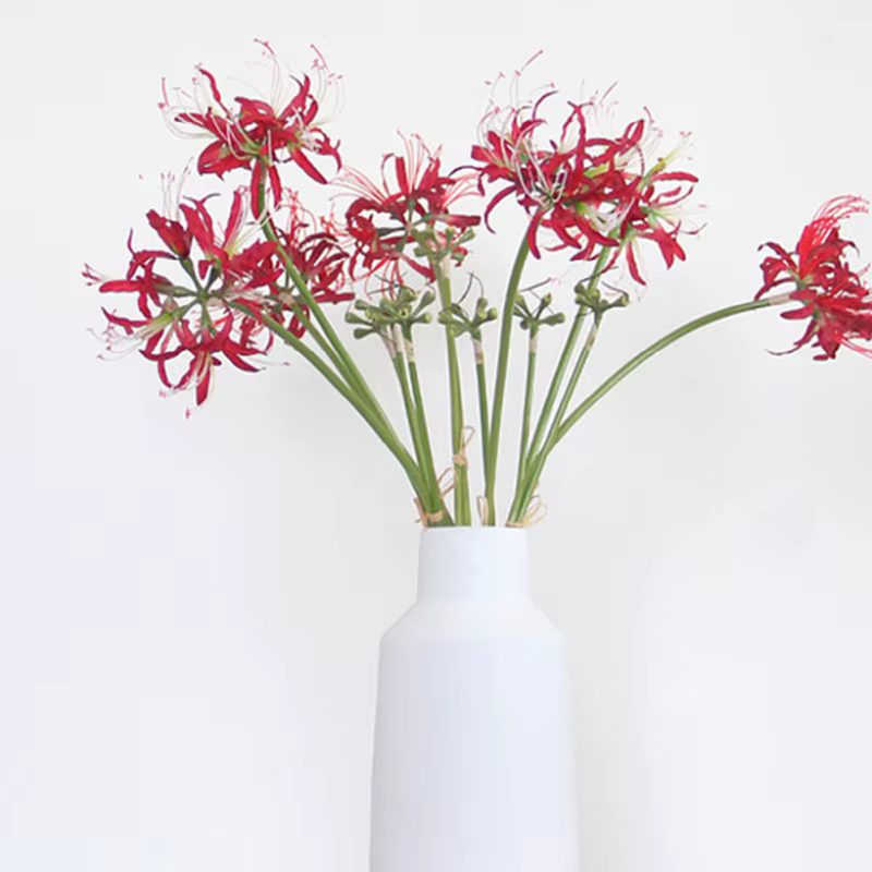 Fleurs artificielles de lys araignée rouge