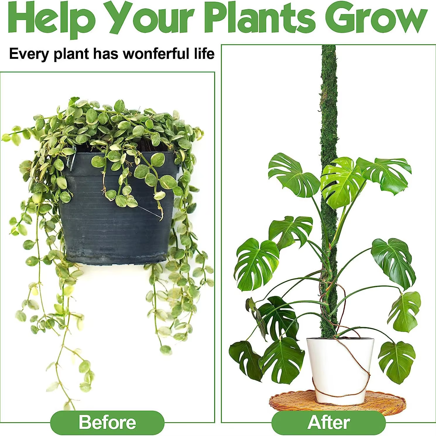 Poteau de mousse pliable pour plantes
