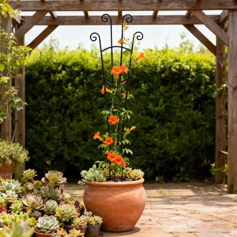 Structure Support plante en fer anti-oxydation