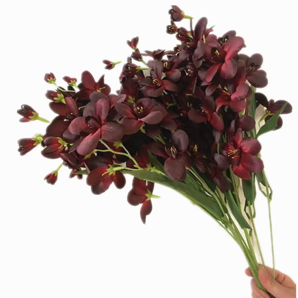 InjCattleya-Branche de fleur avec cuir chevelu vert