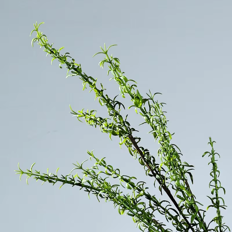 6 pièces de plantes artificielles décoratives pour café