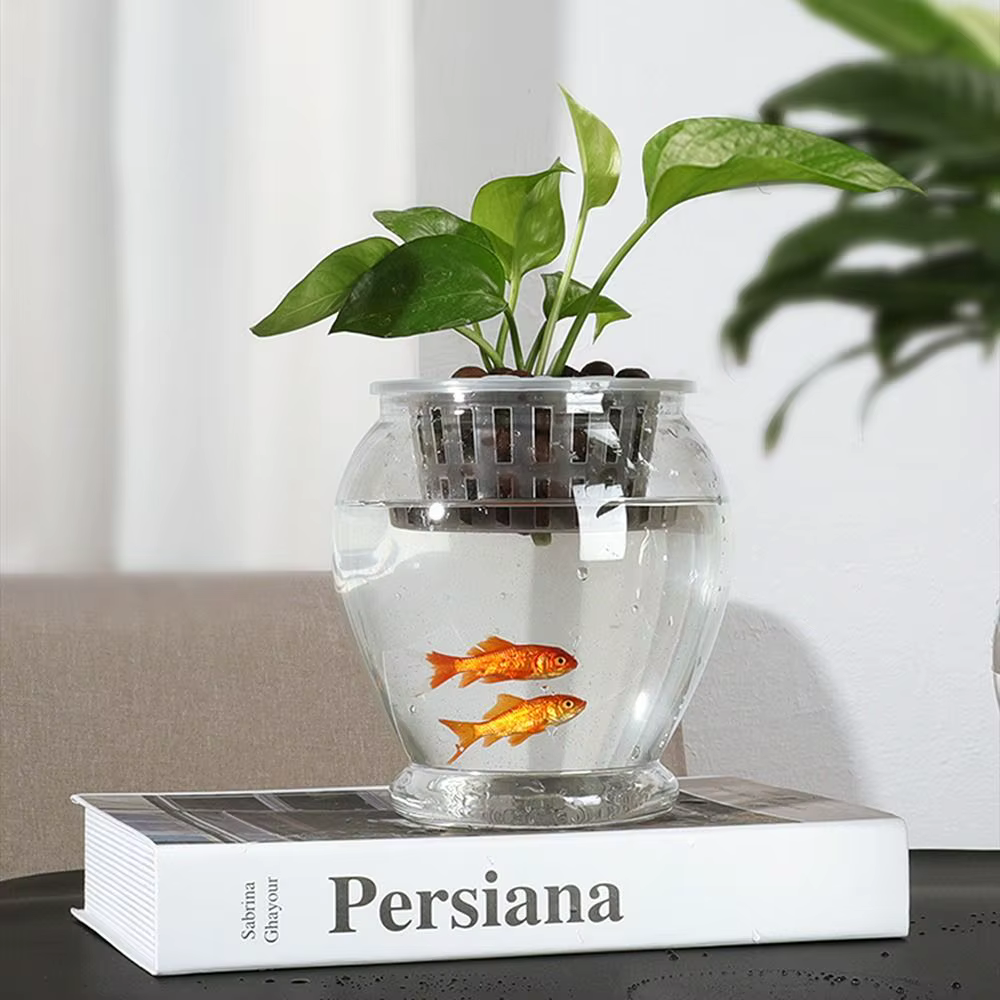 Nouveau pot de fleurs auto-arrosant pour plantes paresseuses