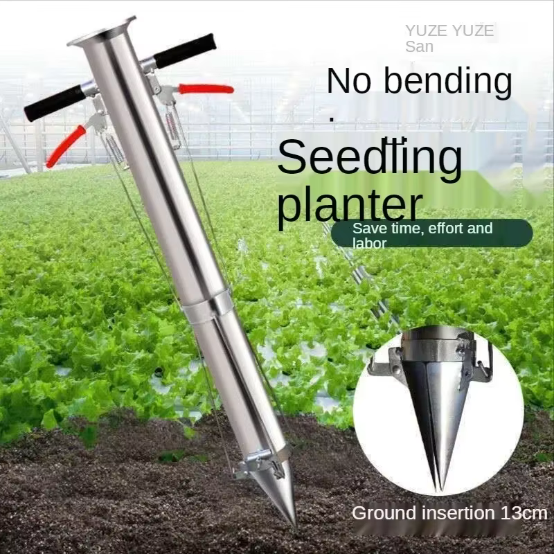 Transplanteur de semis pour légumes