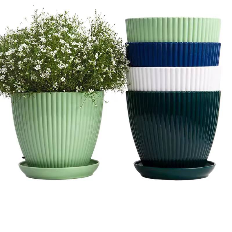 Petit pot à succulentes