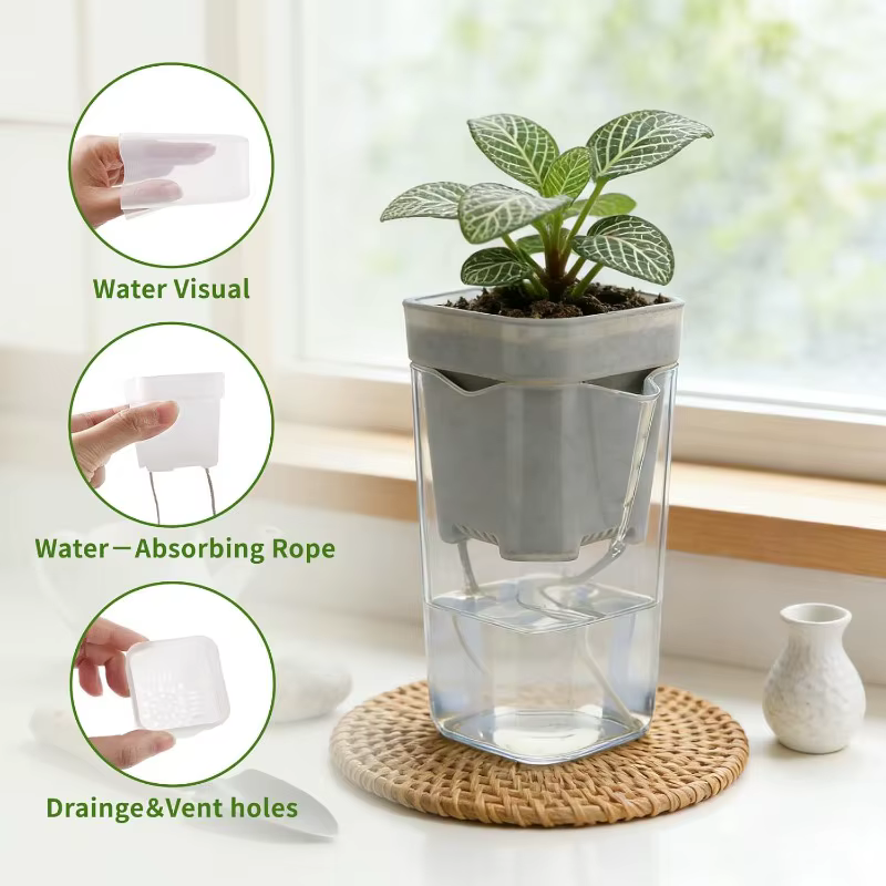 Pot de fleurs à arrosage automatique en plastique translucide avec trous de drainage pour succulentes et boutures