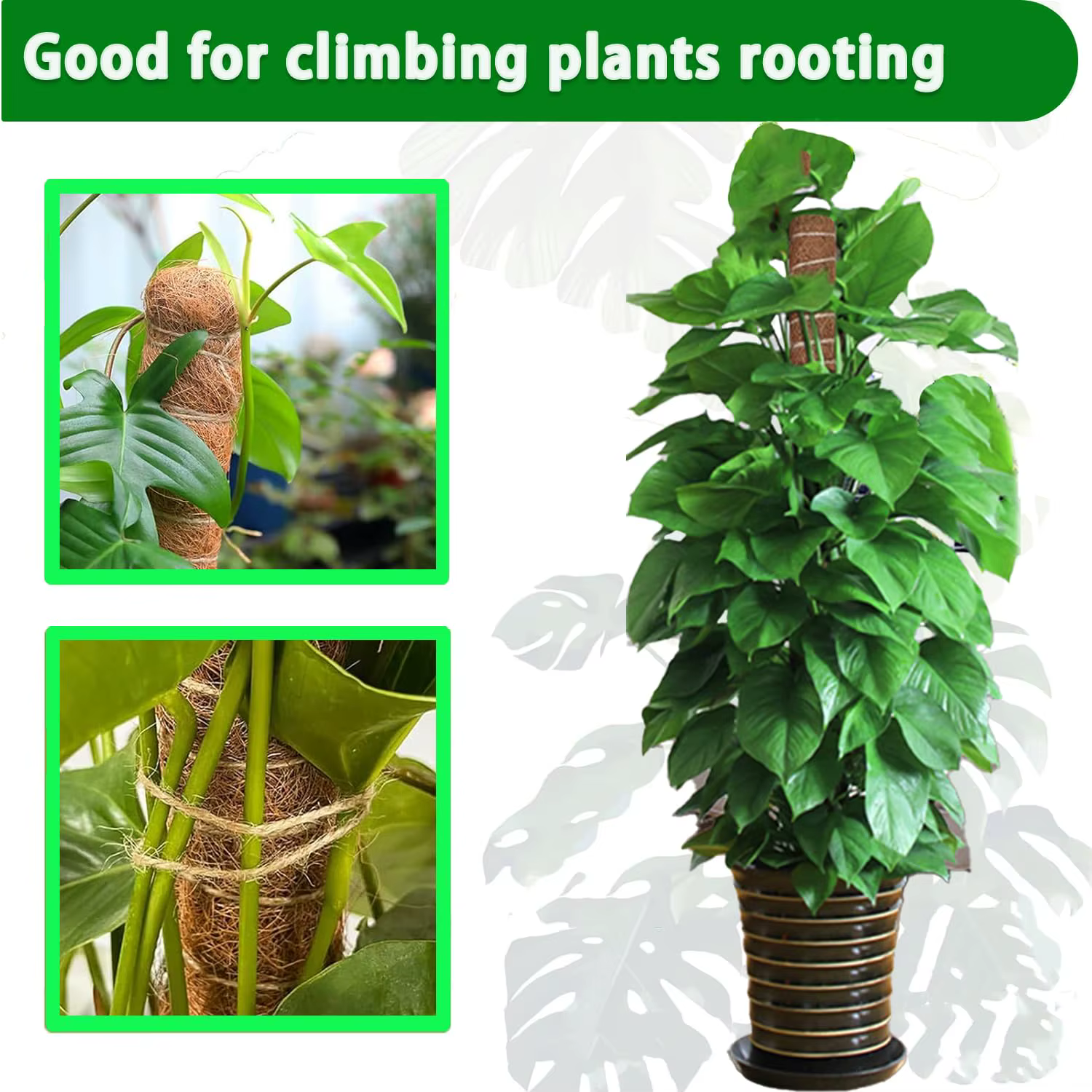 Lot de 4/8 piquets de soutien empilables pour plantes