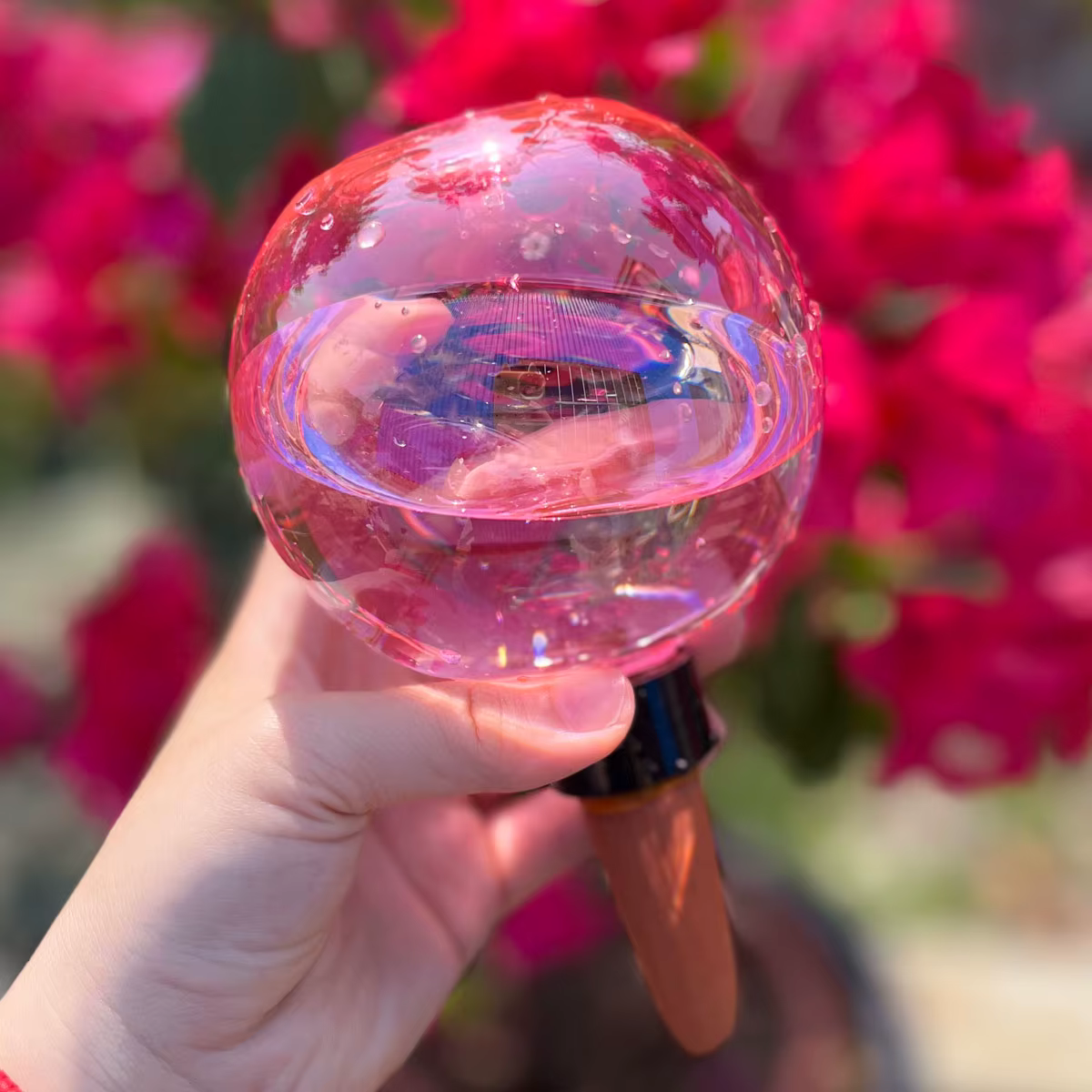 2 boules d'arrosage automatiques pour plantes