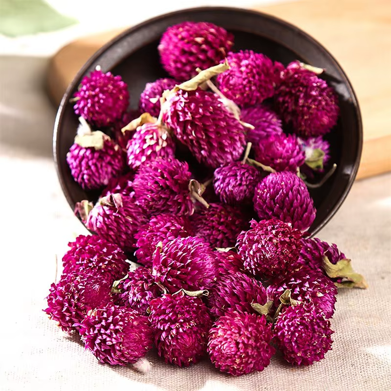 Fleurs d'amarante globe séchées naturelles de qualité supérieure pour la décoration de la maison et du jardin