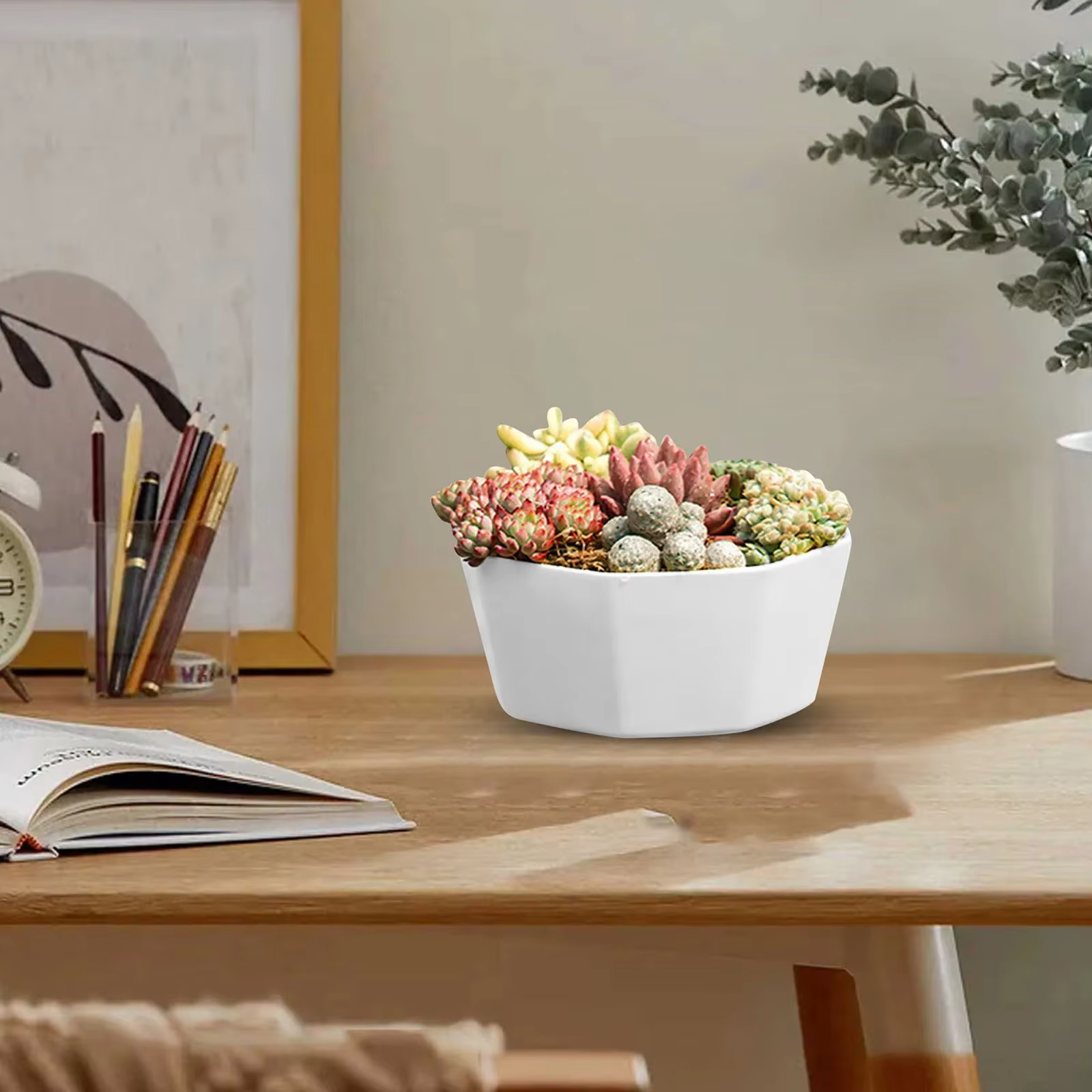 Pots de fleurs d'intérieur en plastique