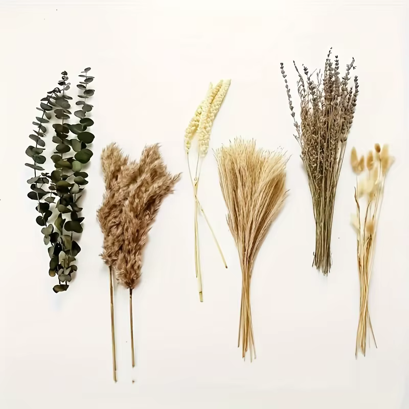 90 pièces fleurs séchées Pampas lapin queue Eucalyptus Bouquet Boho maison jardin décoration fleur artificielle Pampa décor de fête de mariage