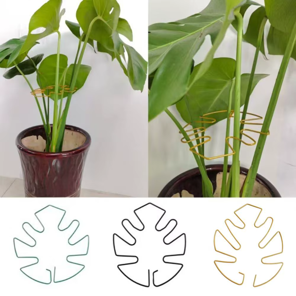 Clips de Support de tige de plante
