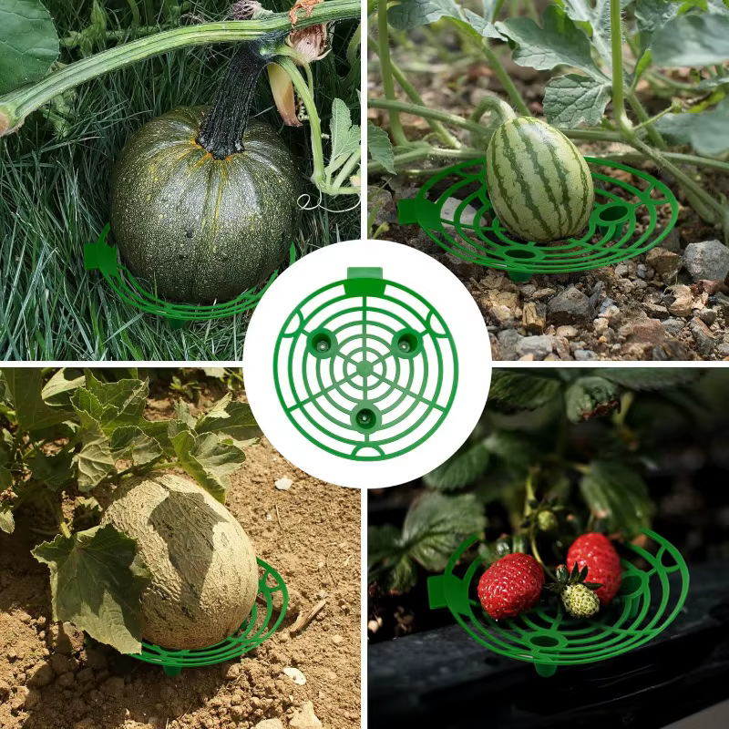 2/10 pièces Supports de plantes