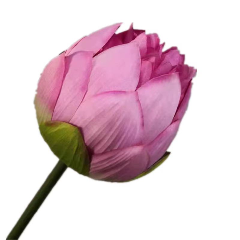 Fleur Artificielle Annie, Branche Faux Ans, Nénuphar, Plante Verte, 10Pcs