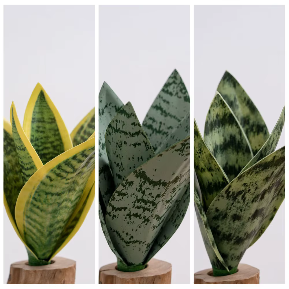 Plante Serpent Artificielle pour Décoration Intérieure