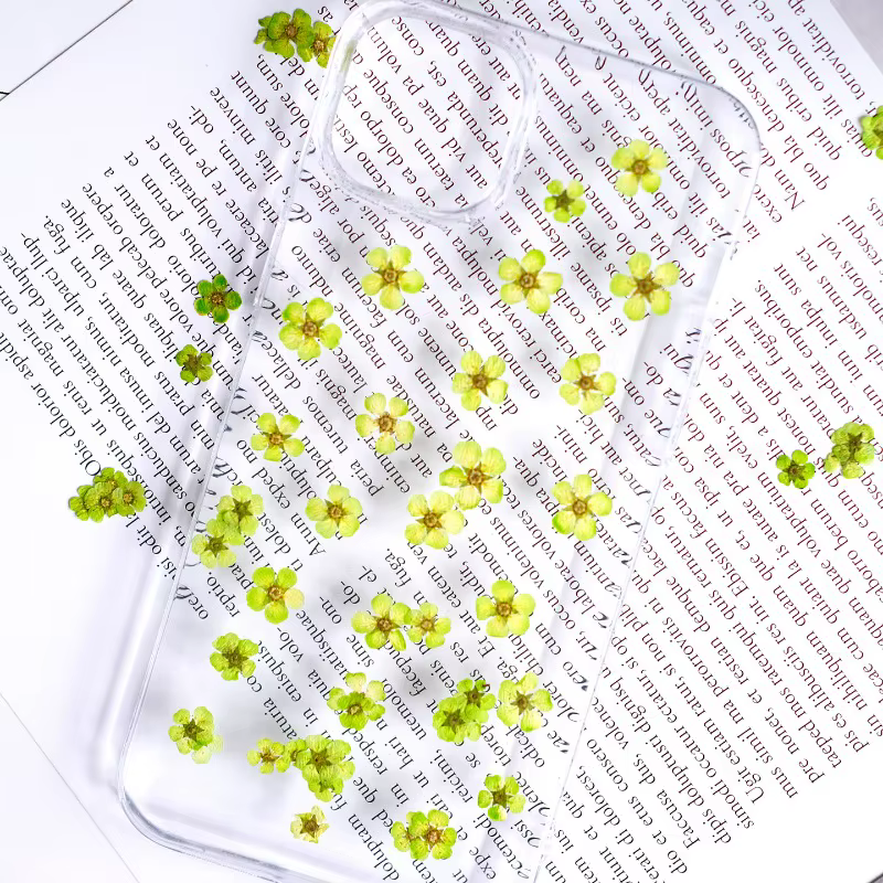 100 pièces, fleurs séchées pressées teintes Spiraea