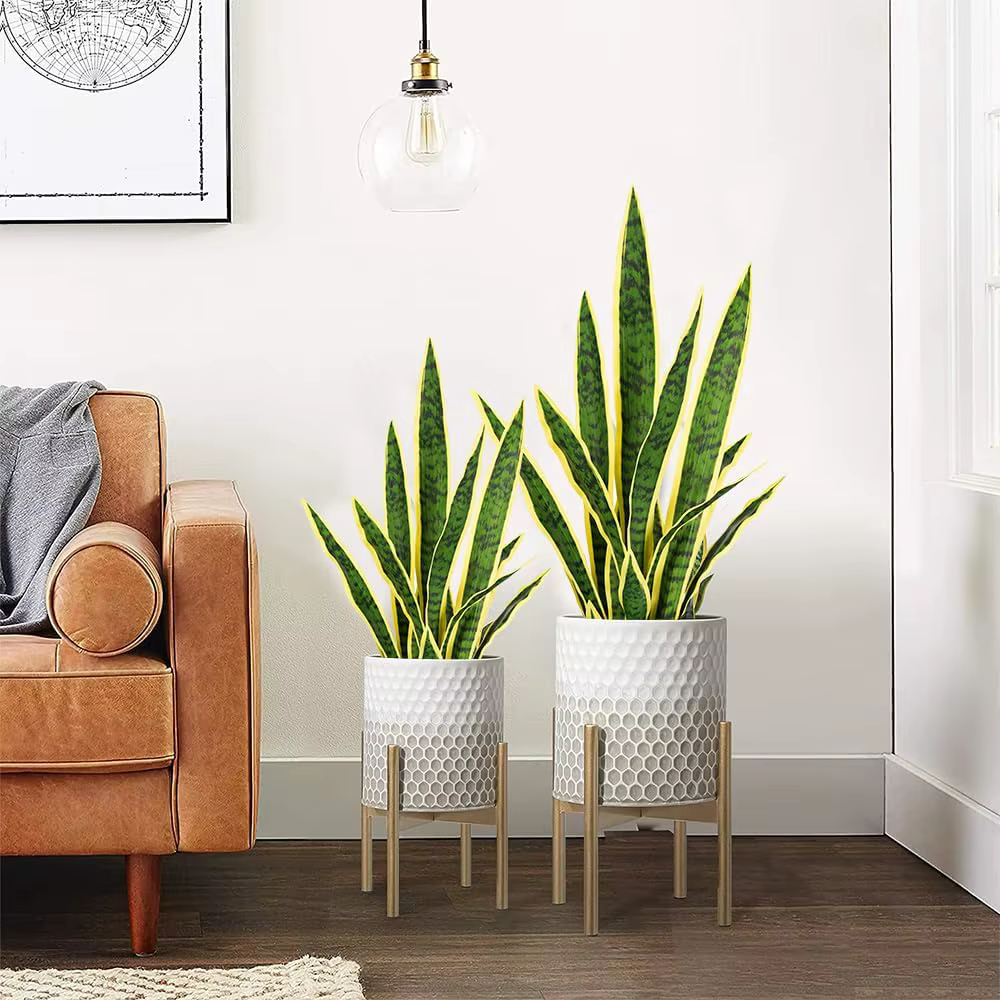 Plantes de serpent artificielles 22 "