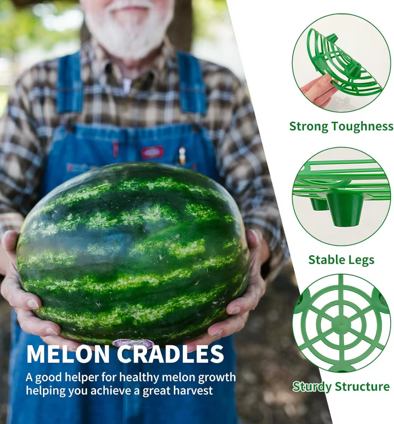 Supports de plantes pour melons