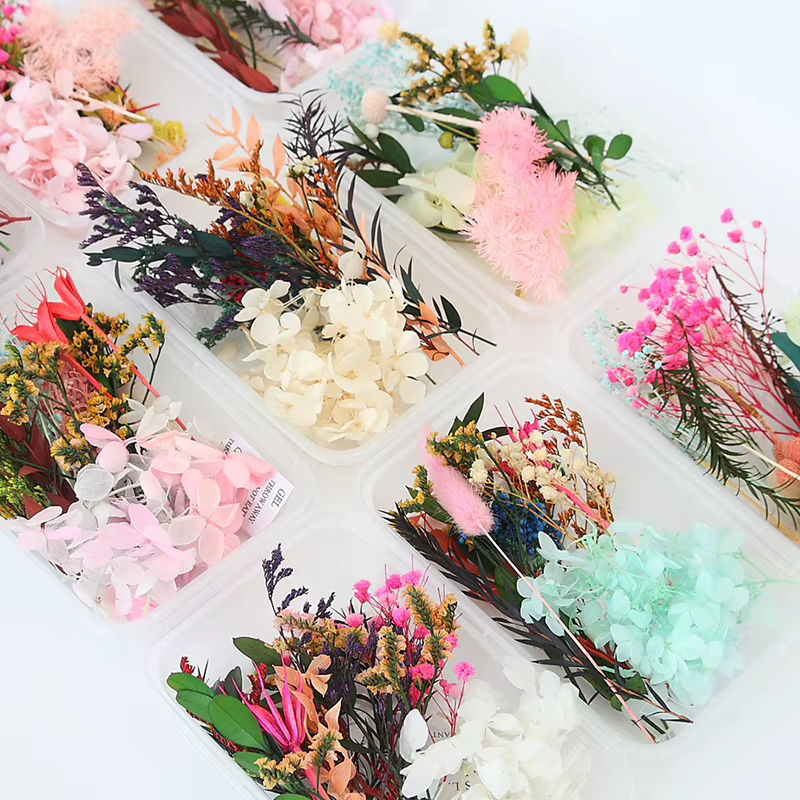 Ensemble de feuilles de fleurs séchées véritables