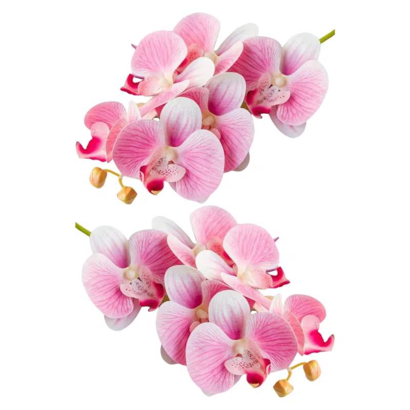 E8BD – lot 2 fleurs d'orchidées papillon