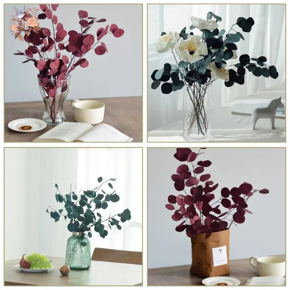 Bouquet de feuilles d'eucalyptus conservées