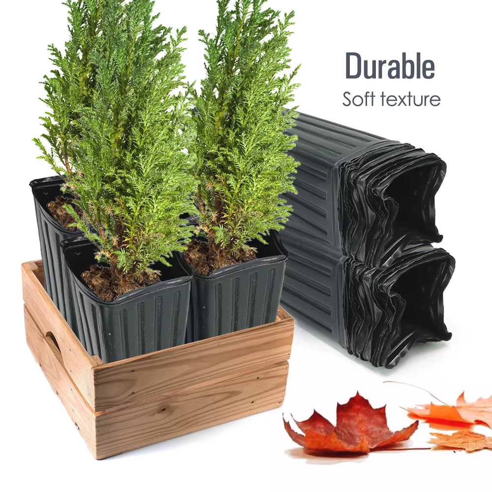 Pot d'arbre carré avec trous de Drainage