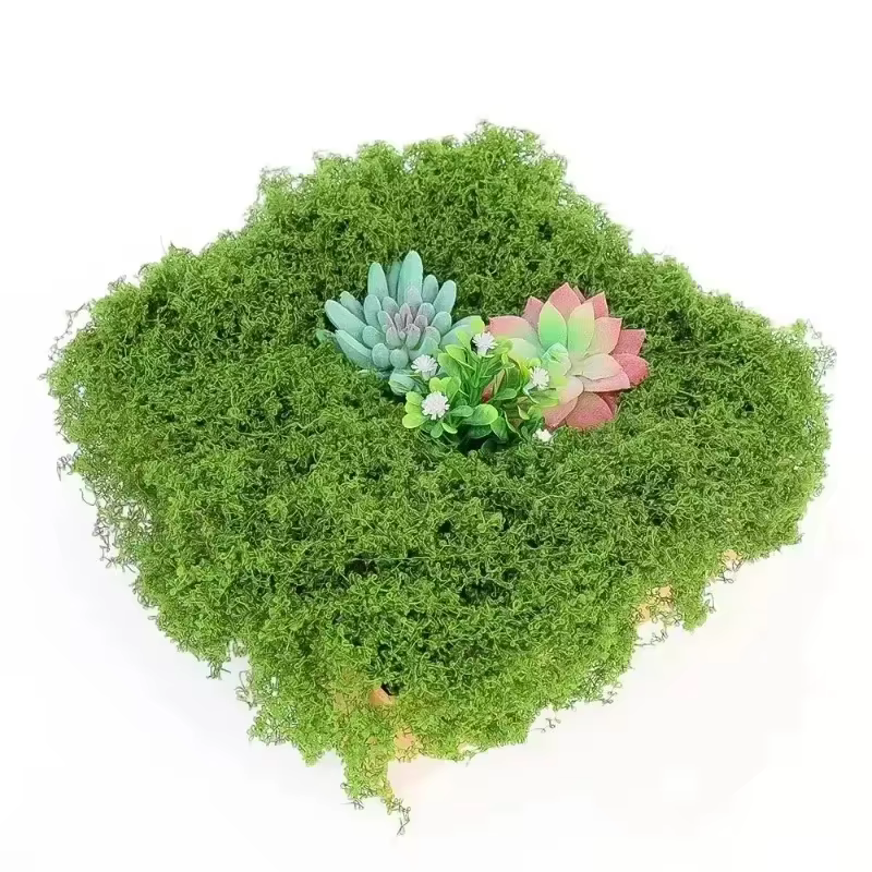 Plantes vertes artificielles