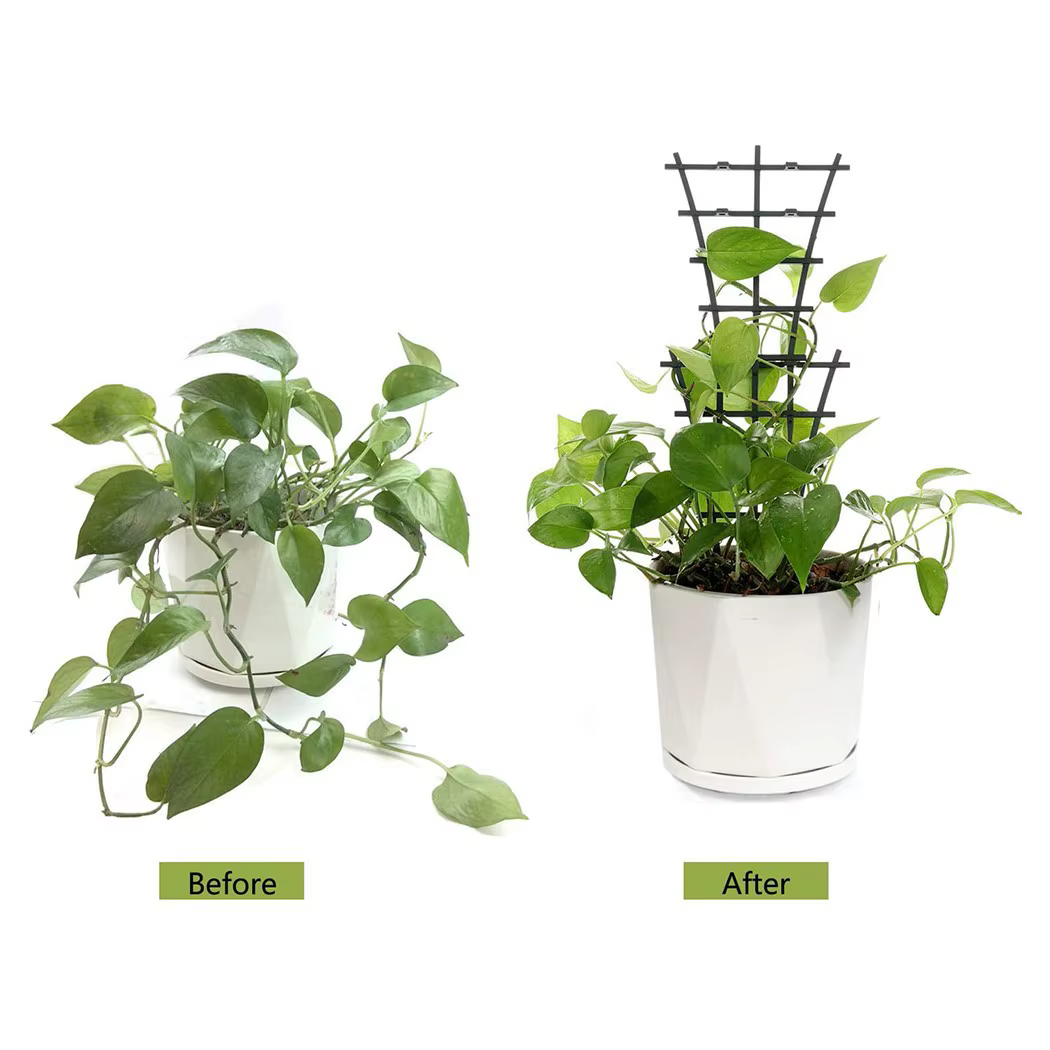 Cadre de support de plante en plastique pour jardin vert