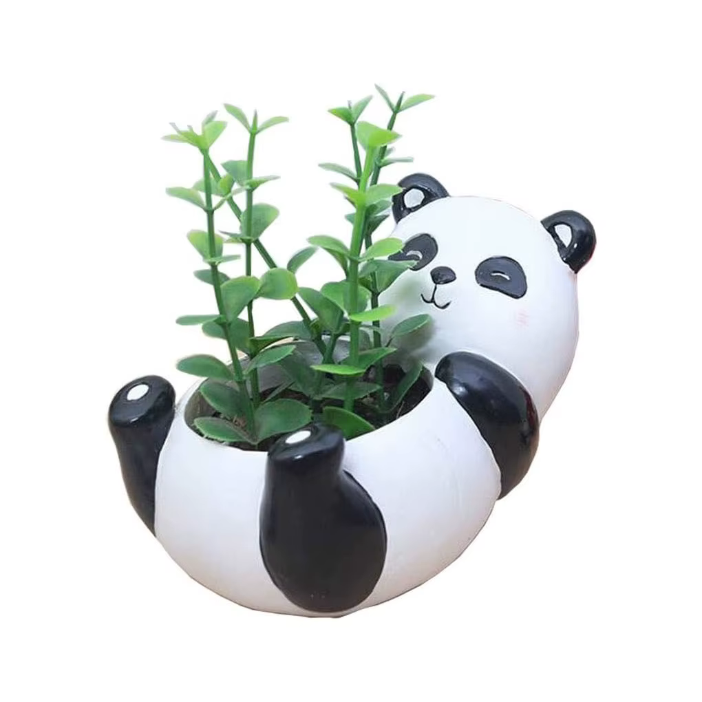 Pot de plantes panda mignon