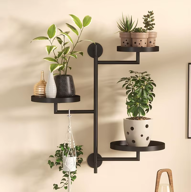 Étagères pour plantes de fenêtre