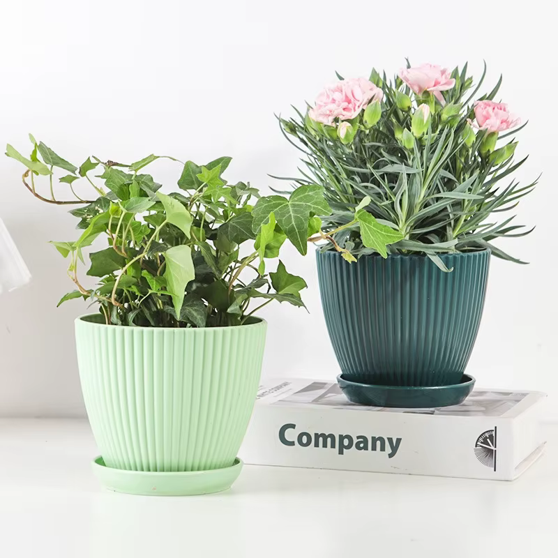 Pots de fleurs en plastique avec plateau