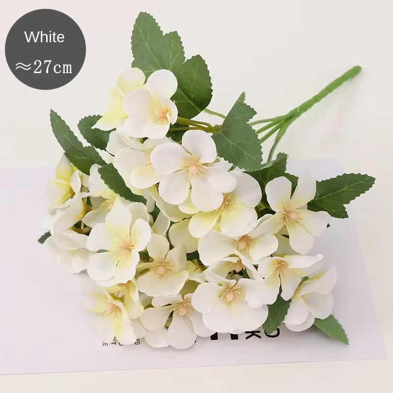 Bégonia fleur fleur sèche gaufrage plante spécimen fleurs séchées gaufrage botanique spécimen bricolage manuel décoration pétale bougies