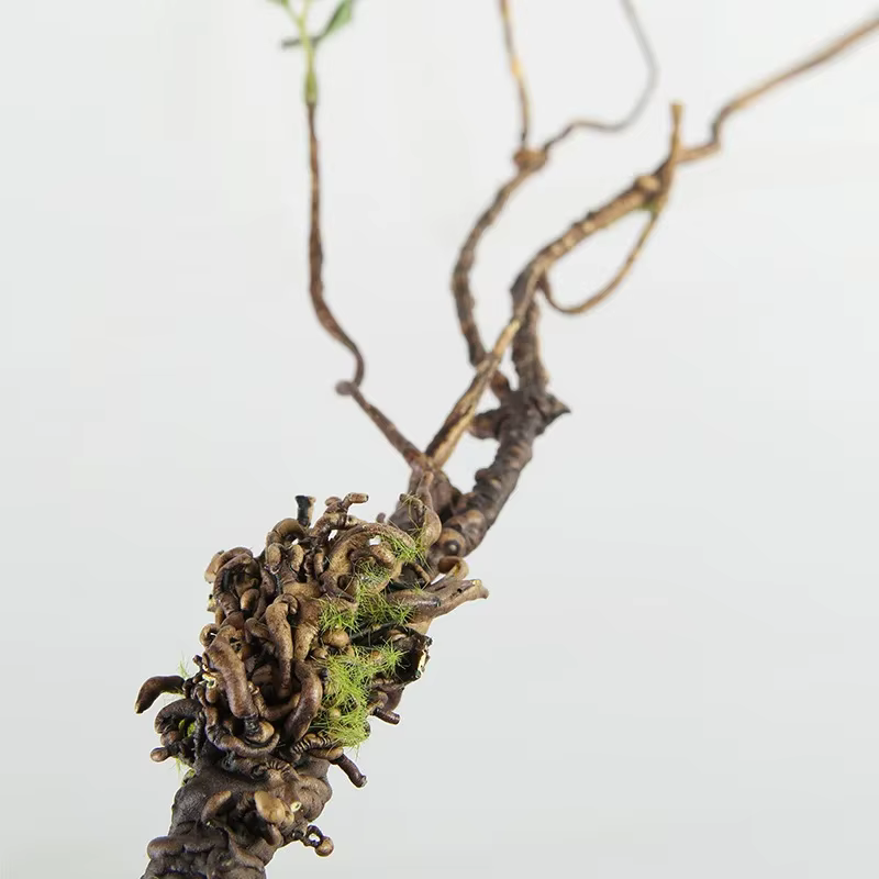 Plantes Vertes Artificielles